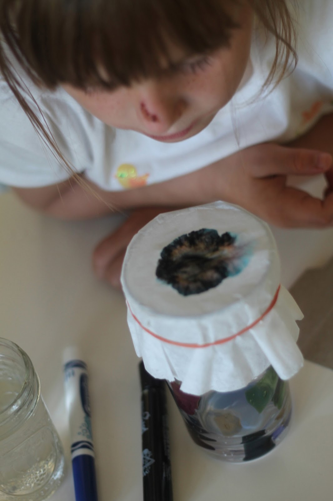 Mini Matisse Make and Take Chromatography Butterflies