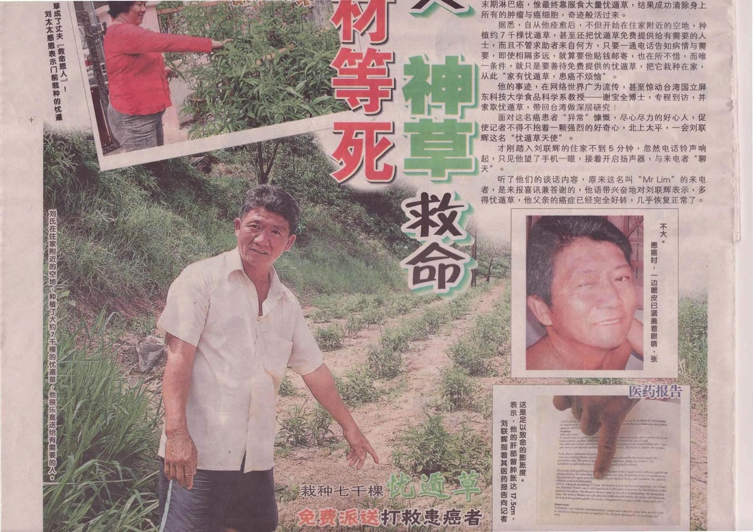 王秀琴女士对优遁草的亲身体验 王秀琴女士对优遁草的亲身体验