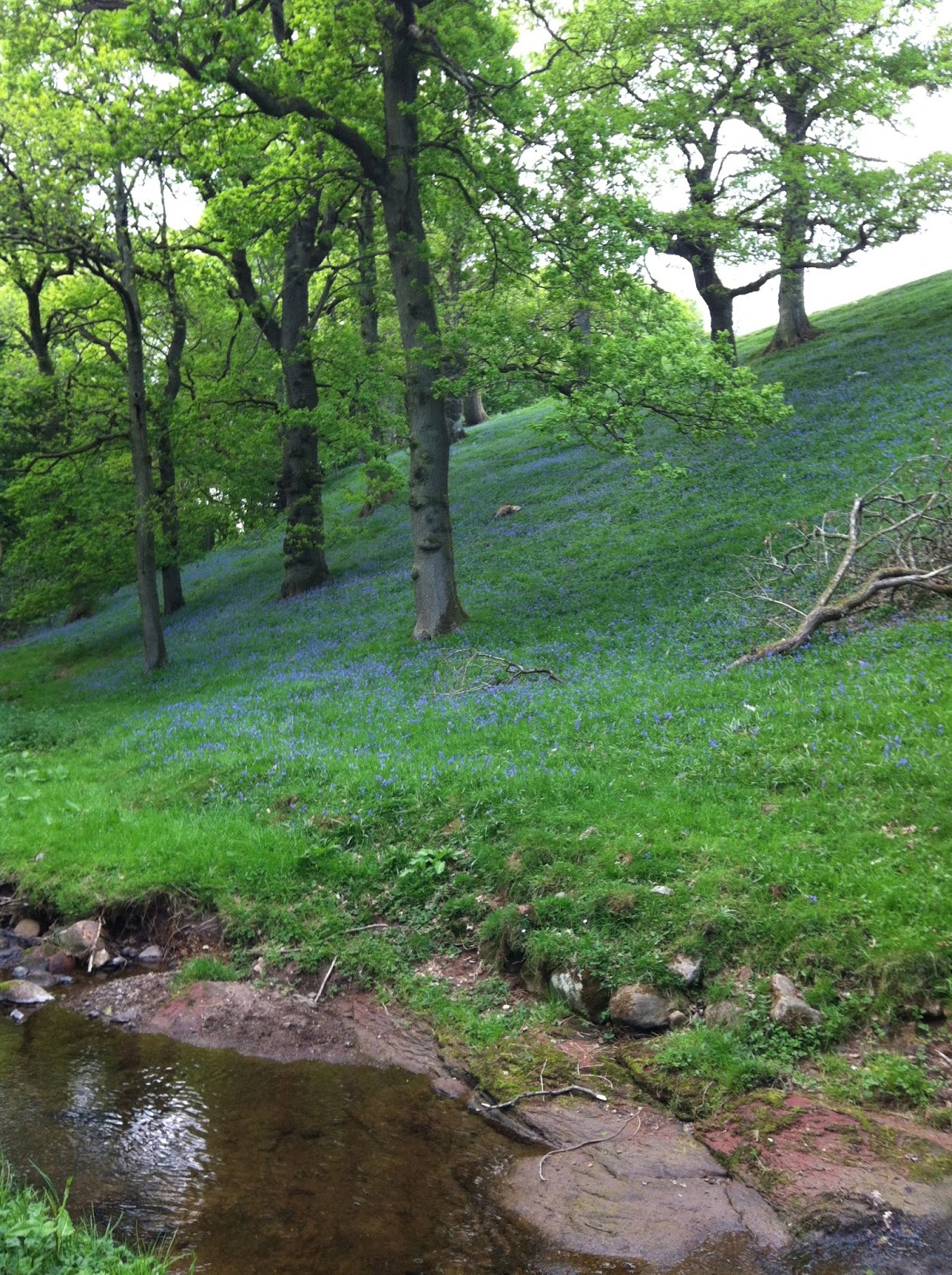 MARJORIE DELUCA'S STORYWORLD The Real Garden of Eden