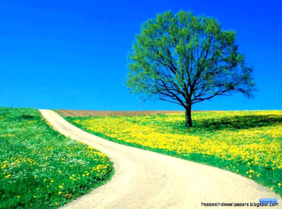 Nature Best Nature Wallpaper Nature Best Nature Wallpaper