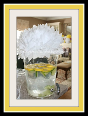 Fancy Water Fancy Water