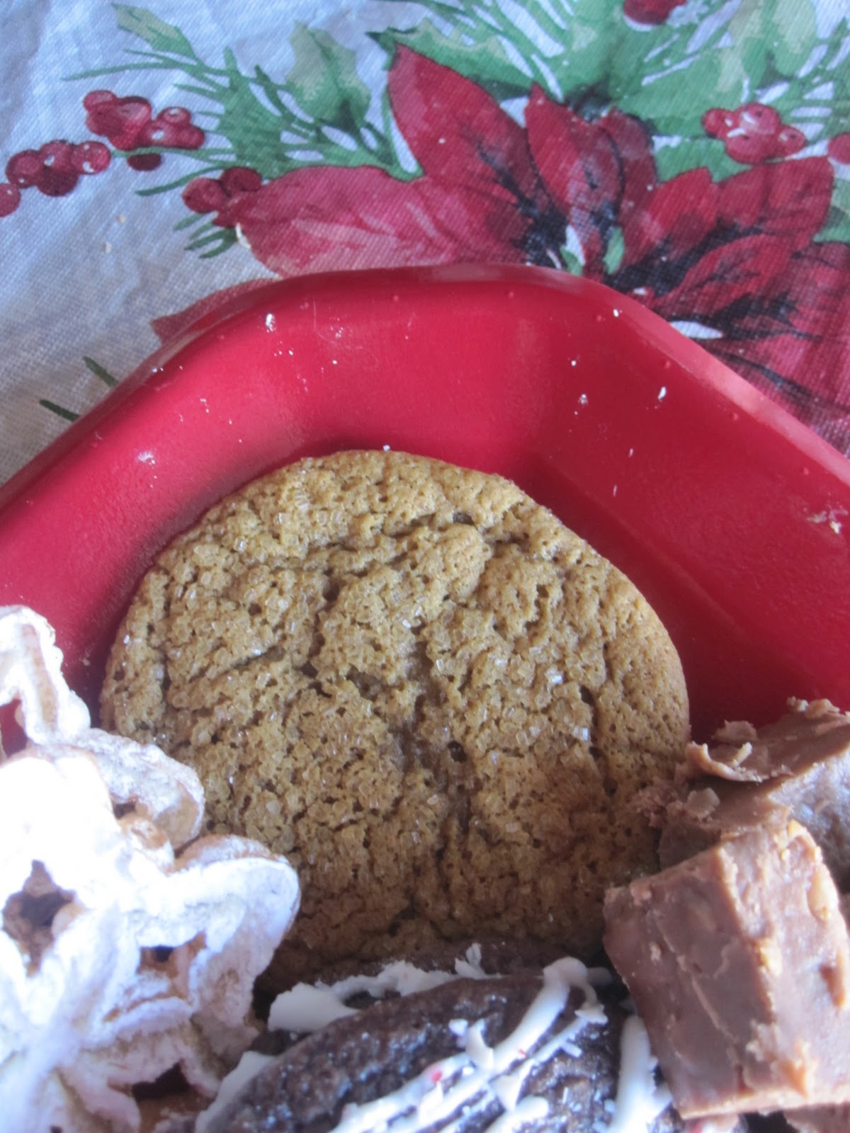 The Braegger Family Cooks: Soft Ginger Cookies