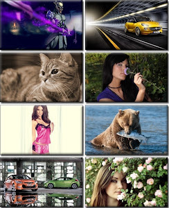 Computer Desktop Wallpapers Collection 575