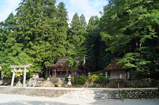 The Yahata Shinto shrine surrounded by gigantic tree.　