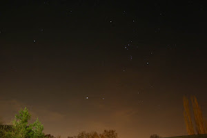 Orion No Céu