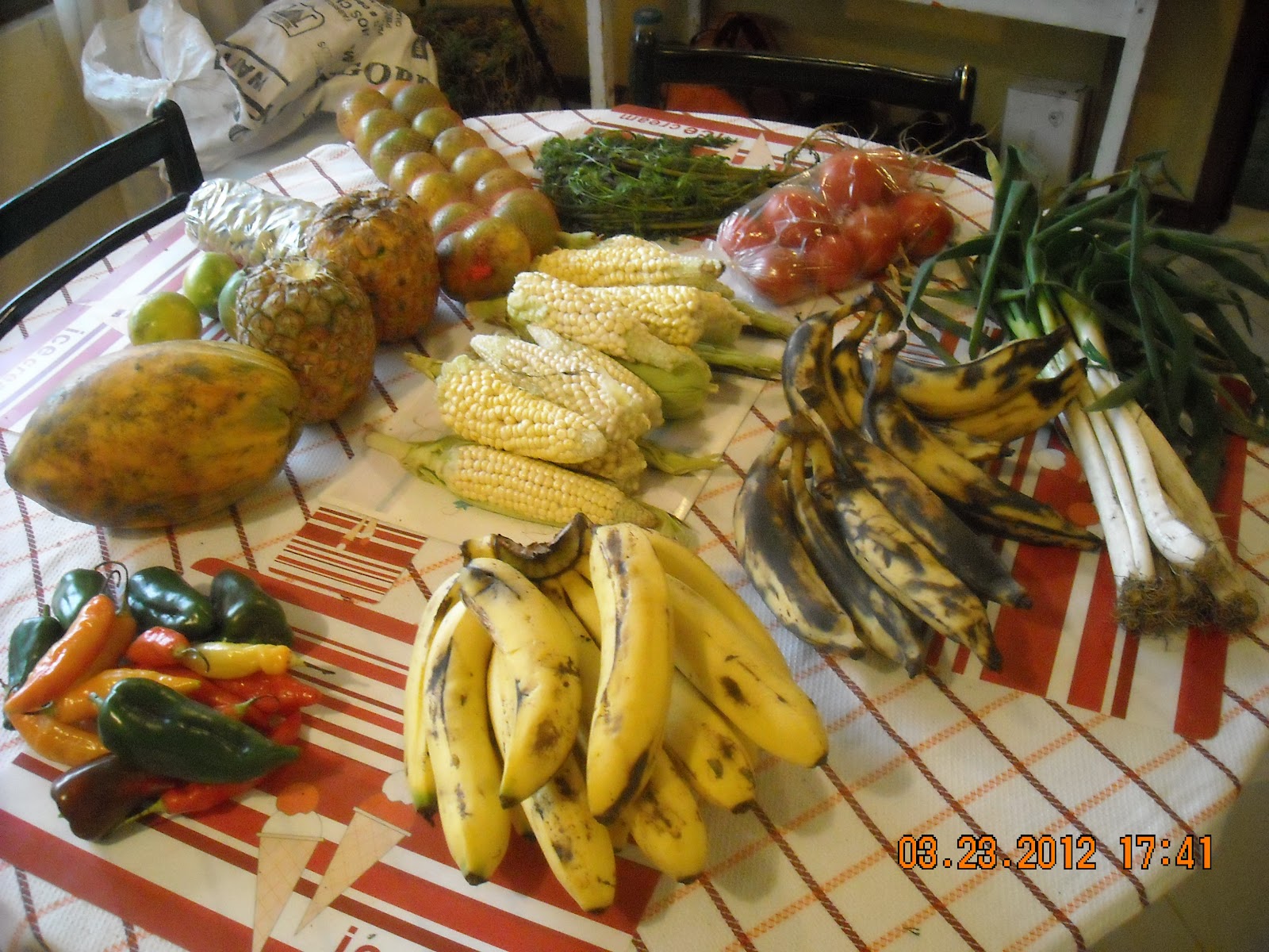 Journeyman Jack In Ecuador Cost of Living Supermarkets in ECUADOR