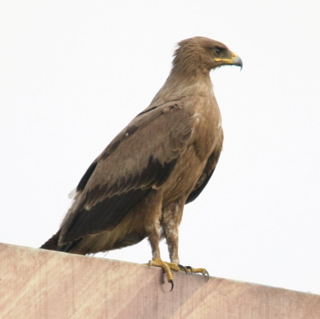 eagles mere hindu personals Pour télécharger et voir les films en streaming gratuitement sur notre site enregistrer vous gratuitement . eagles mere hindu personals Pour télécharger et voir les films en streaming gratuitement sur notre site enregistrer vous gratuitement .