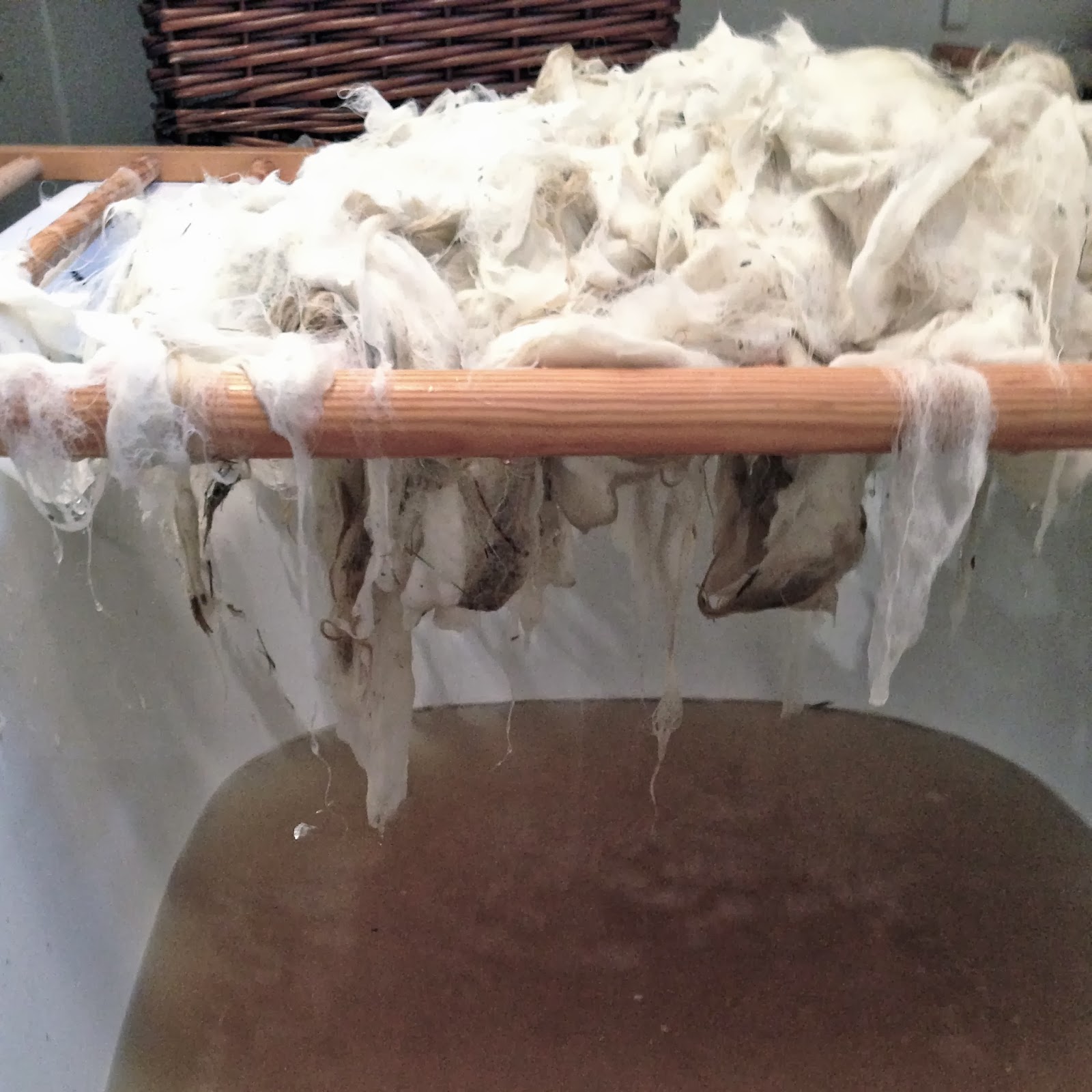 Washing Icelandic Wool Fleece
