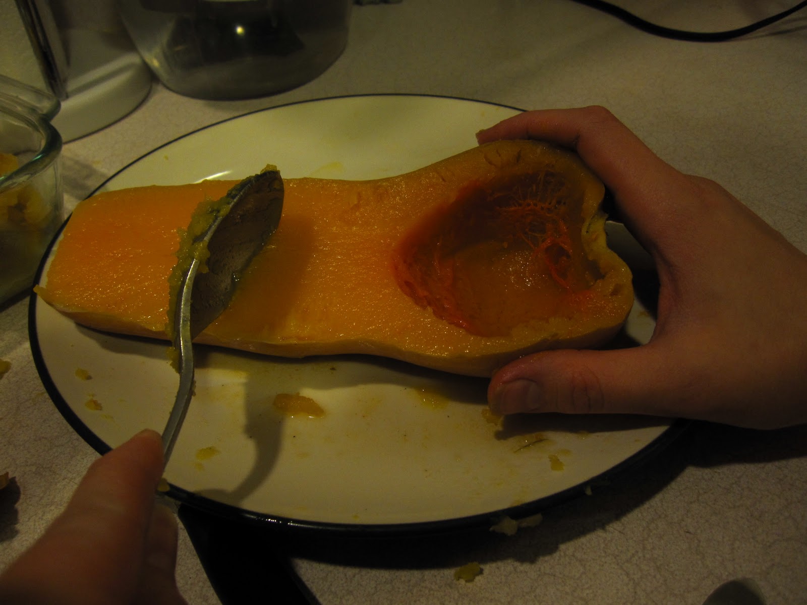 plus other good stuff Cook Squash the Safe and Brainless Way