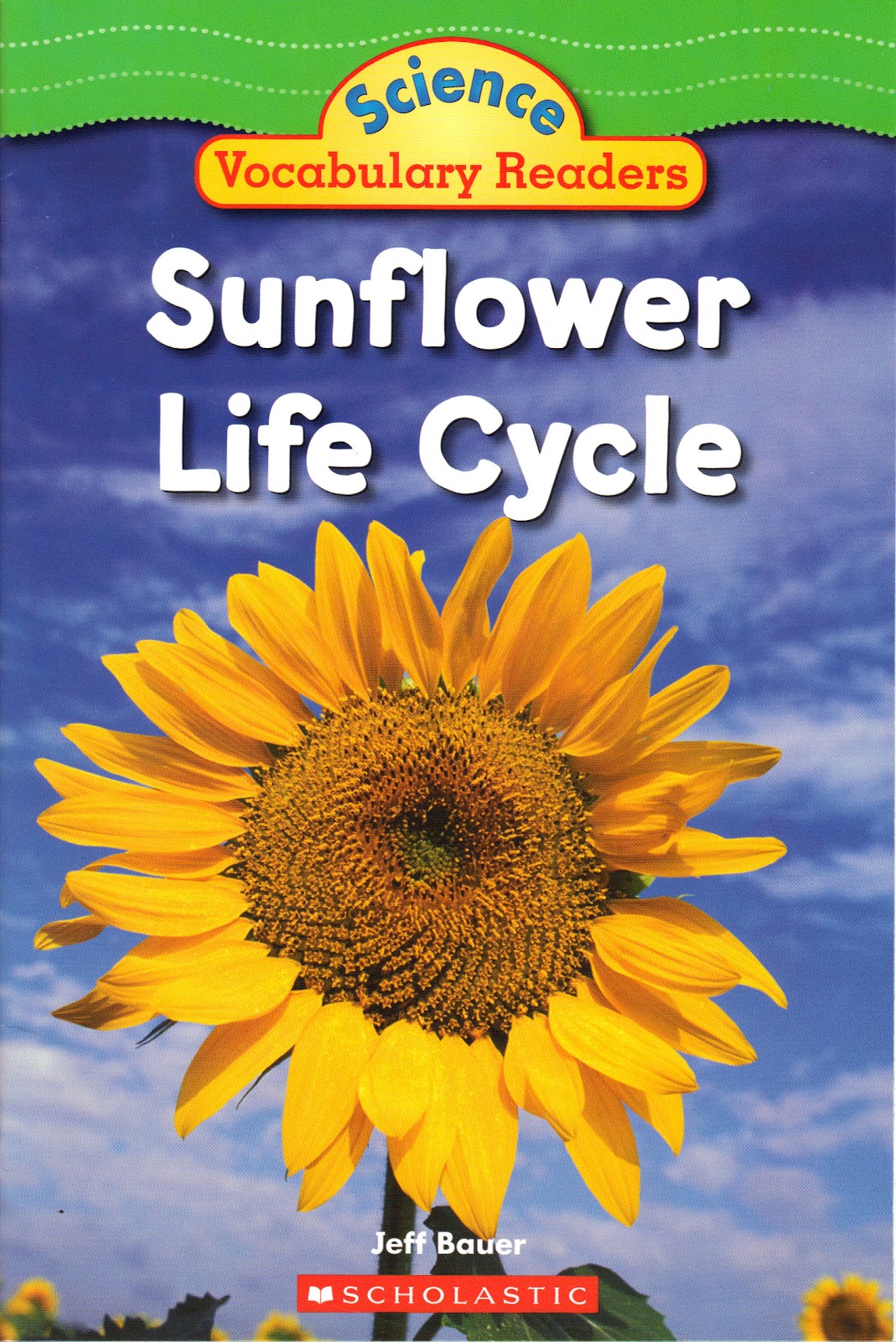 Kindergartners At Work September 2012