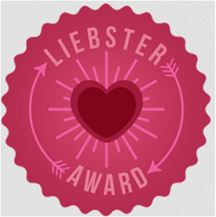 100 Blogs en Español  Merito Honorifico  Liebster Awards 2013