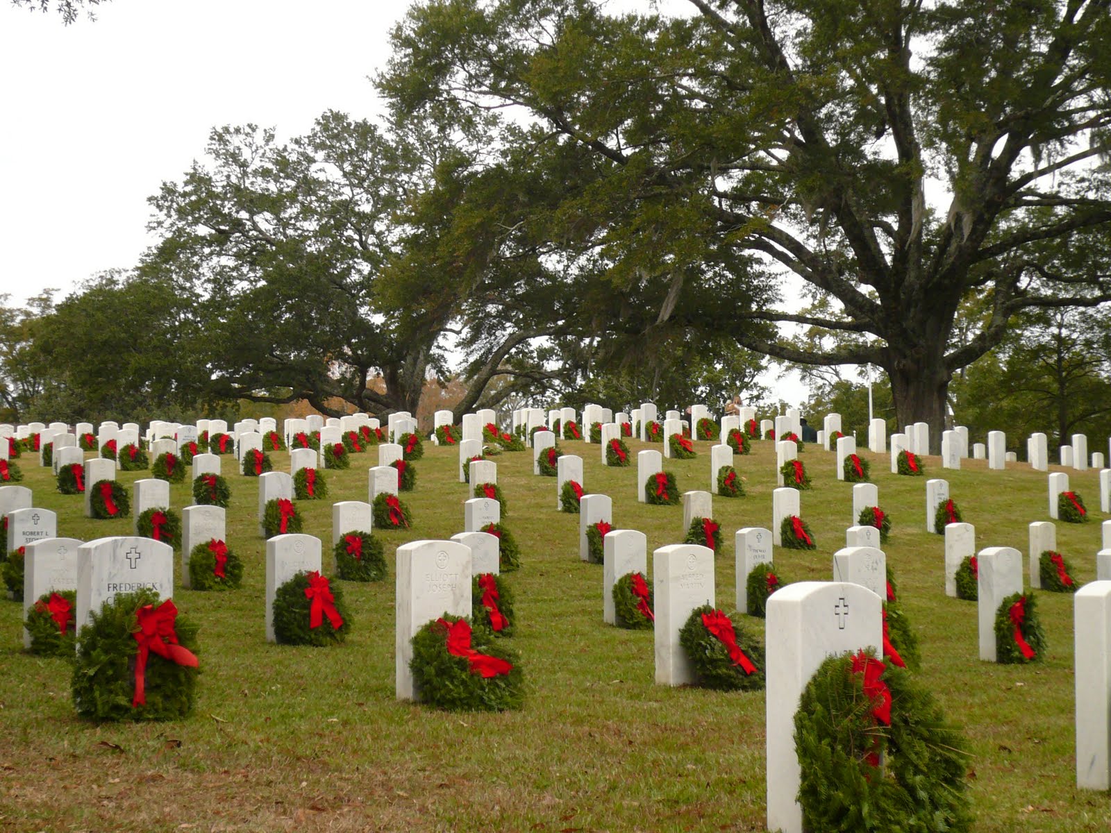 The Lord Craven Chapter Wreaths Across America and NC Grown Frazer Fir