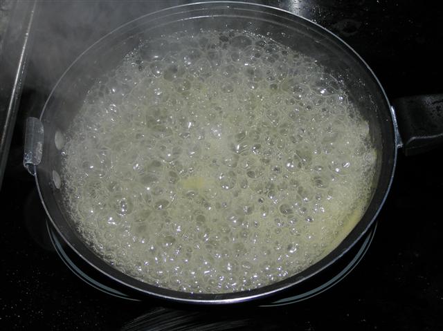 Hierba del sapo contra el colesterol alto :: Infusin de