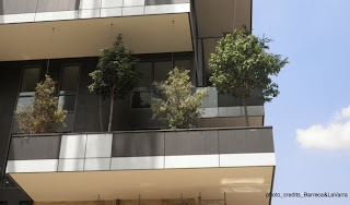 http://inhabitat.com/newly-released-photos-show-the-bosco-verticale-vertical-forest-nearing-completion-in-milan/