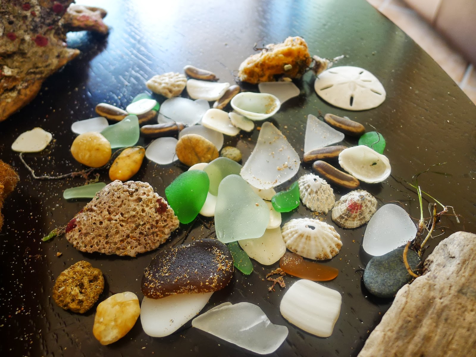 Mi Jardin Florido Sea Glass from Beach