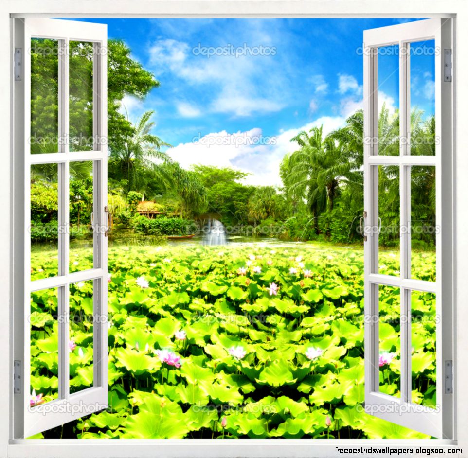 Open window — Stock Photo © qwerty2013 19016559 Open window — Stock Photo © qwerty2013 19016559