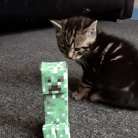 Creeper Gif