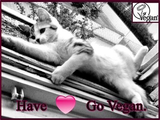 Have a Heart Go Vegan