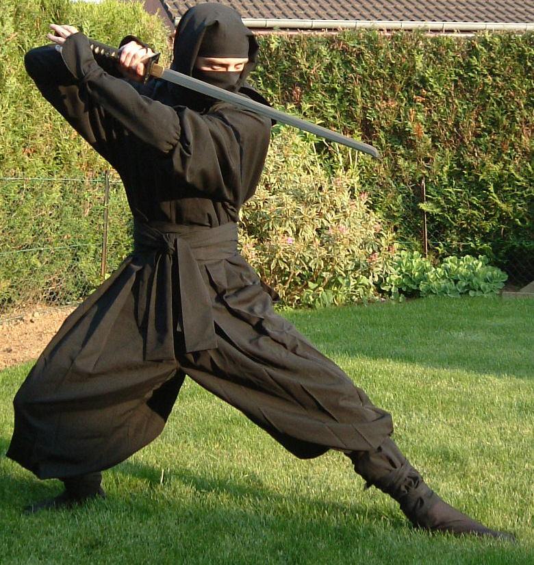 Are Ninjas Real
