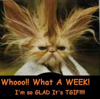 Tgif Funny
