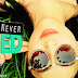Blog Tour Kick-Off: All I've Never Wanted by Ana Huang!