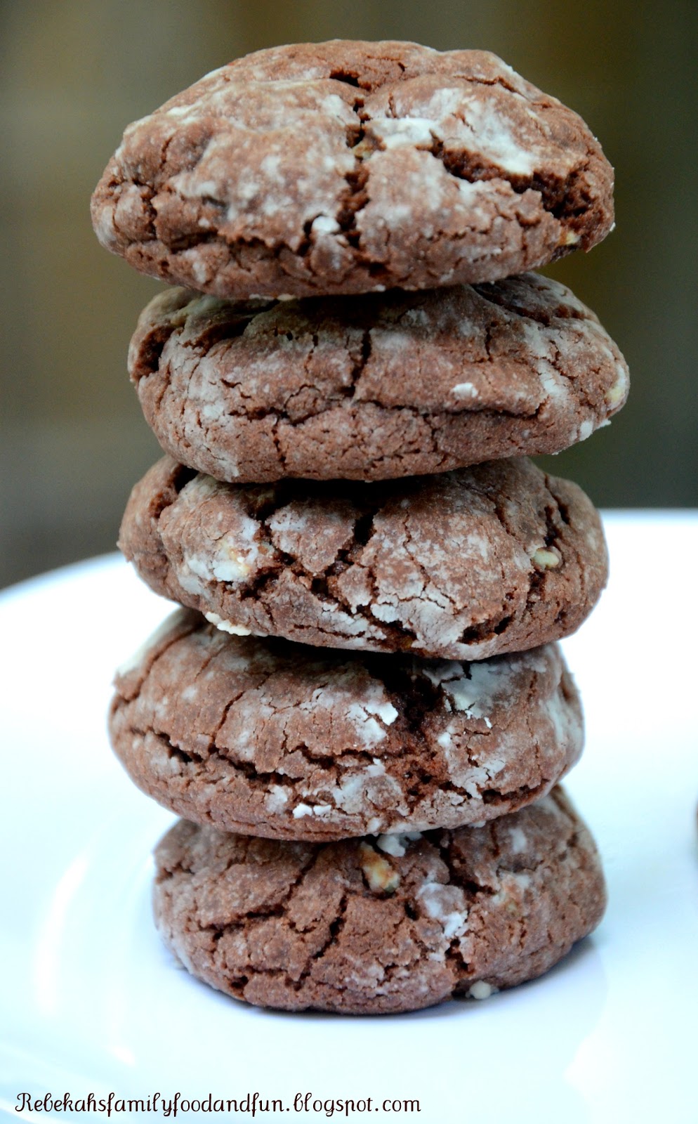 Family, Food, and Fun Fudgy Mint Cookies