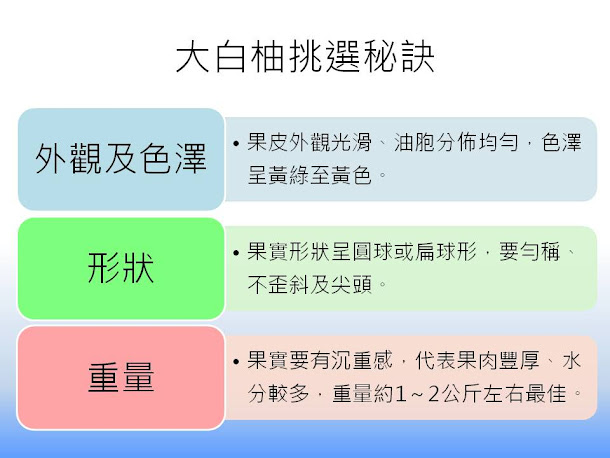 大白柚不論果肉或是水分都比文旦更飽滿豐厚、甘甜中帶酸的獨特風味,食後口齒留香,吃起來更過癮,而要怎麼挑才會選到好吃香甜的大白柚?台南農改場在這邊教你!圖為大白柚果實。 大白柚不論果肉或是水分都比文旦更飽滿豐厚、甘甜中帶酸的獨特風味,食後口齒留香,吃起來更過癮,而要怎麼挑才會選到好吃香甜的大白柚?台南農改場在這邊教你!圖為大白柚果實。