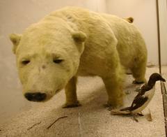 La Biodiversidad Museo la Salle