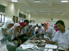 Medical Faculty