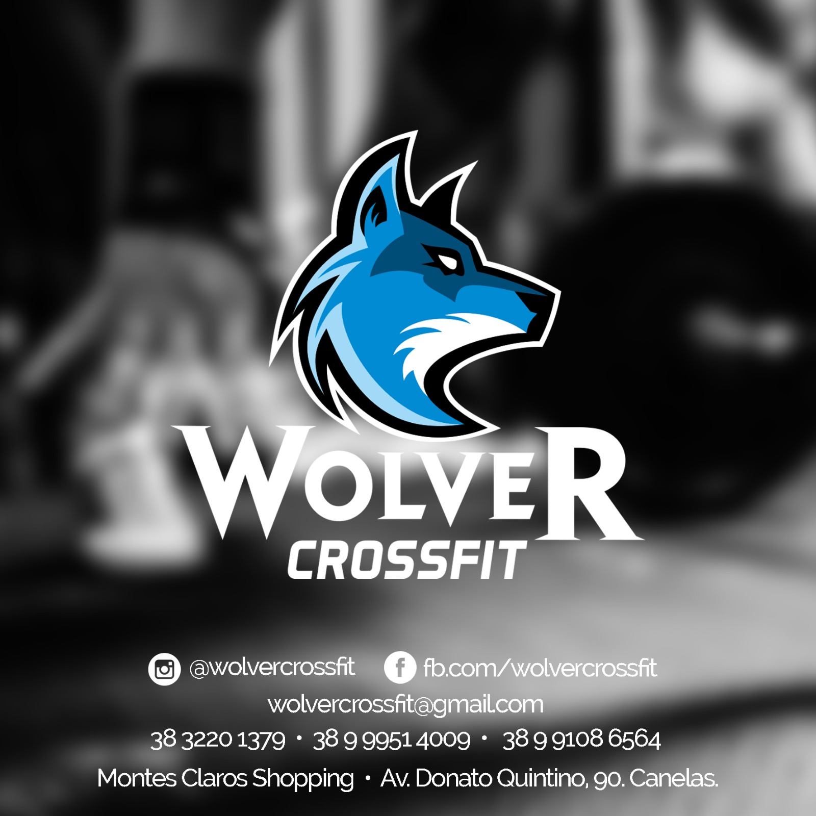 Academia Wolver Crossfit