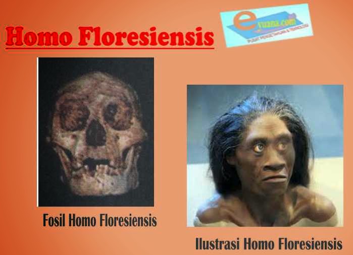 Gambar Manusia Purba Homo Floresiensis