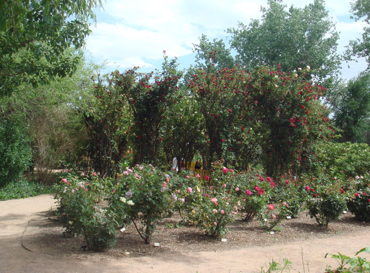 Organic Garden Dreams Albuquerque Botanical Garden Part II