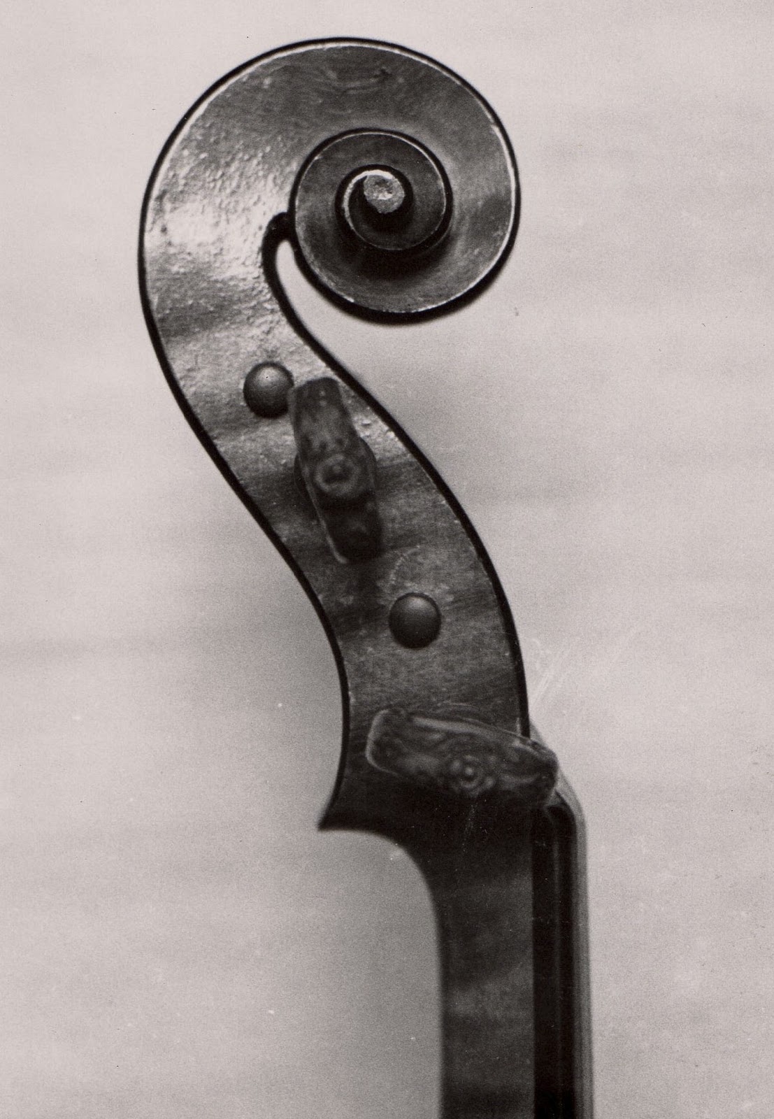 The Violin Shop Why Scrolls?