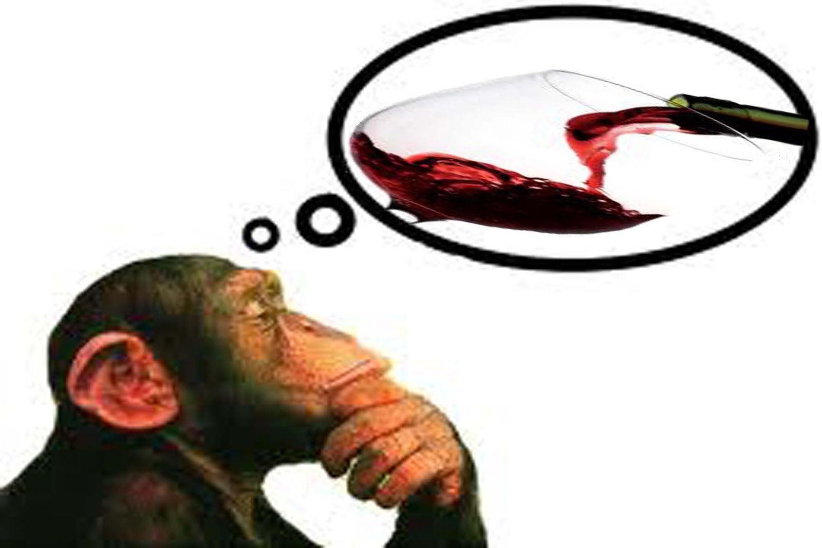 10 curiosidades del vino