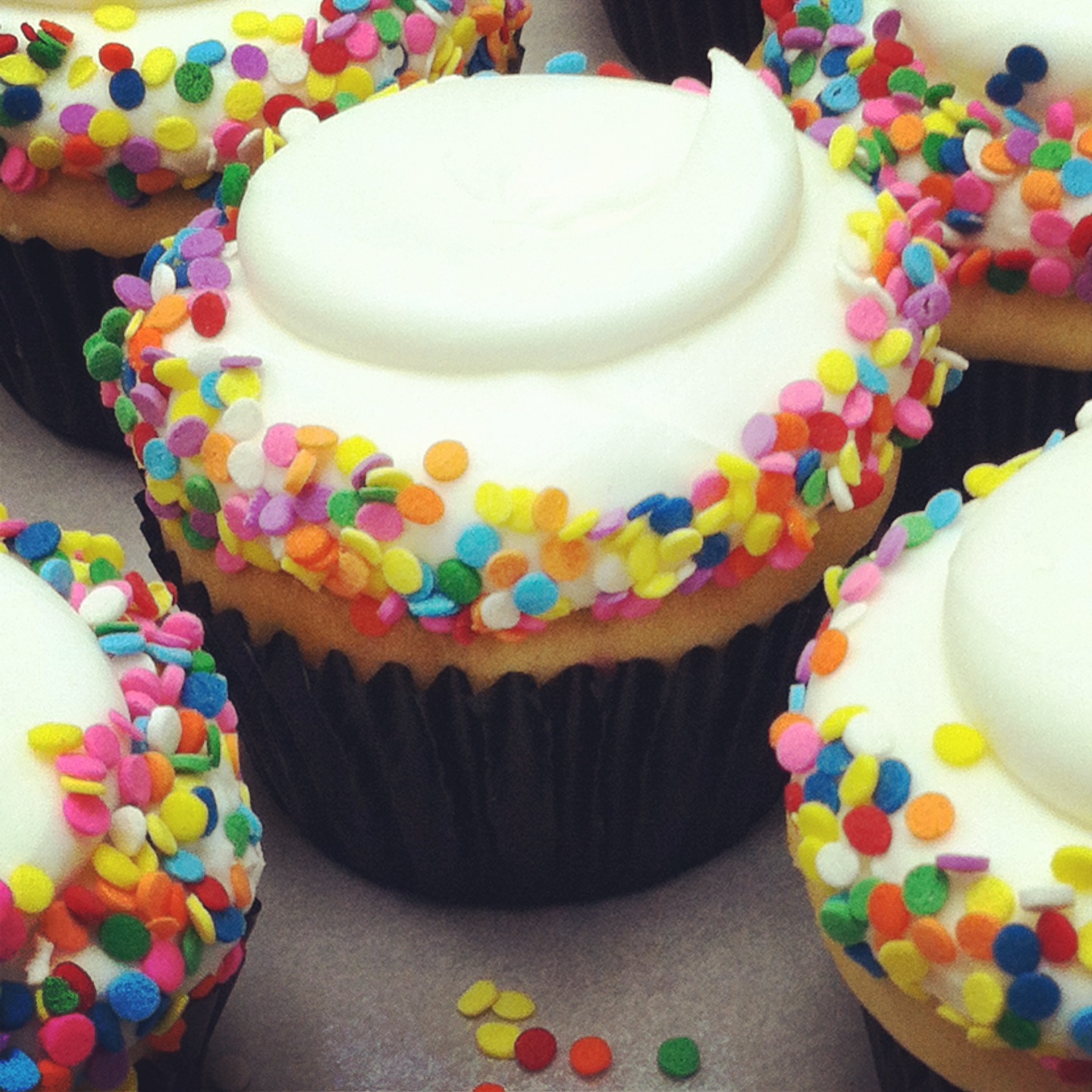 Lola Pearl Bake Shoppe Confetti // Funfetti [cupcakes]