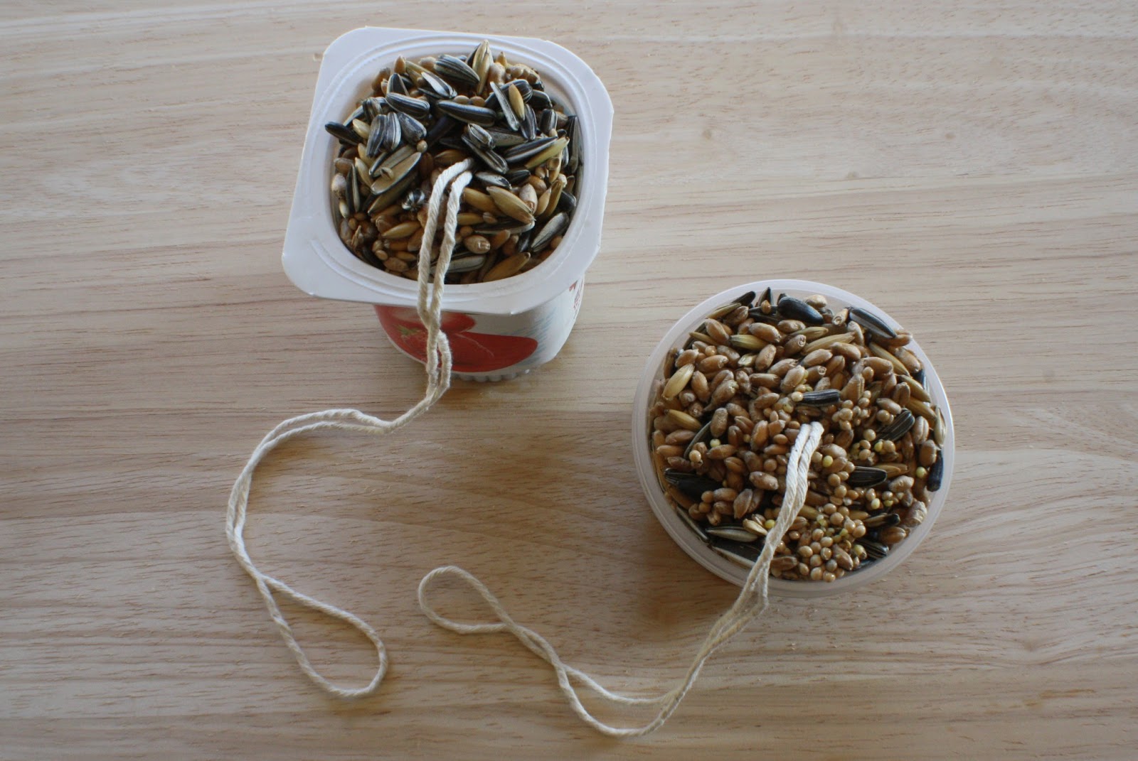 DIY BIRD FEEDER FLAT 3/6