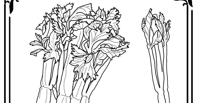 Celery Printable Coloring Pages | Realistic Coloring Pages