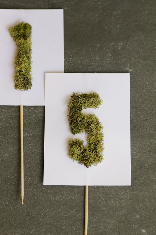 swoon studio Moss table numbers