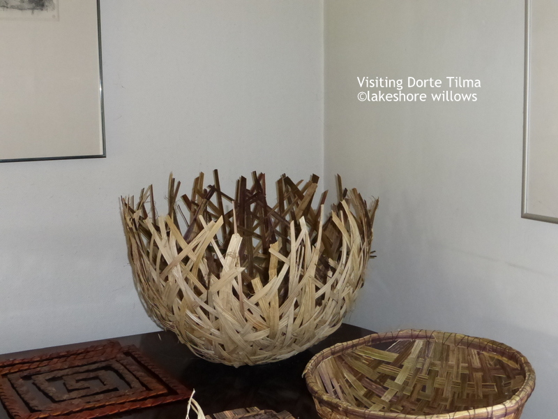 Willows Willow Basket Weaving and Opportunity