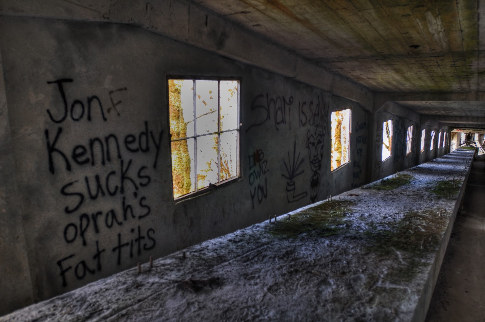 This Life in Ruins the tunnel at the cement factory in concrete, wa