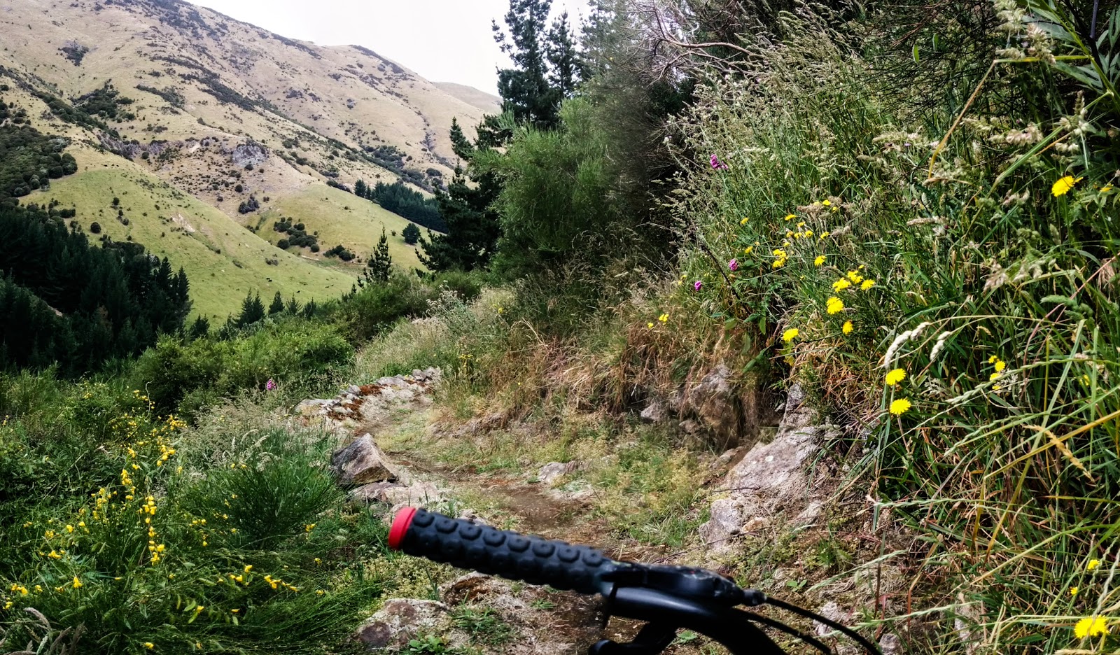 haven mtb park