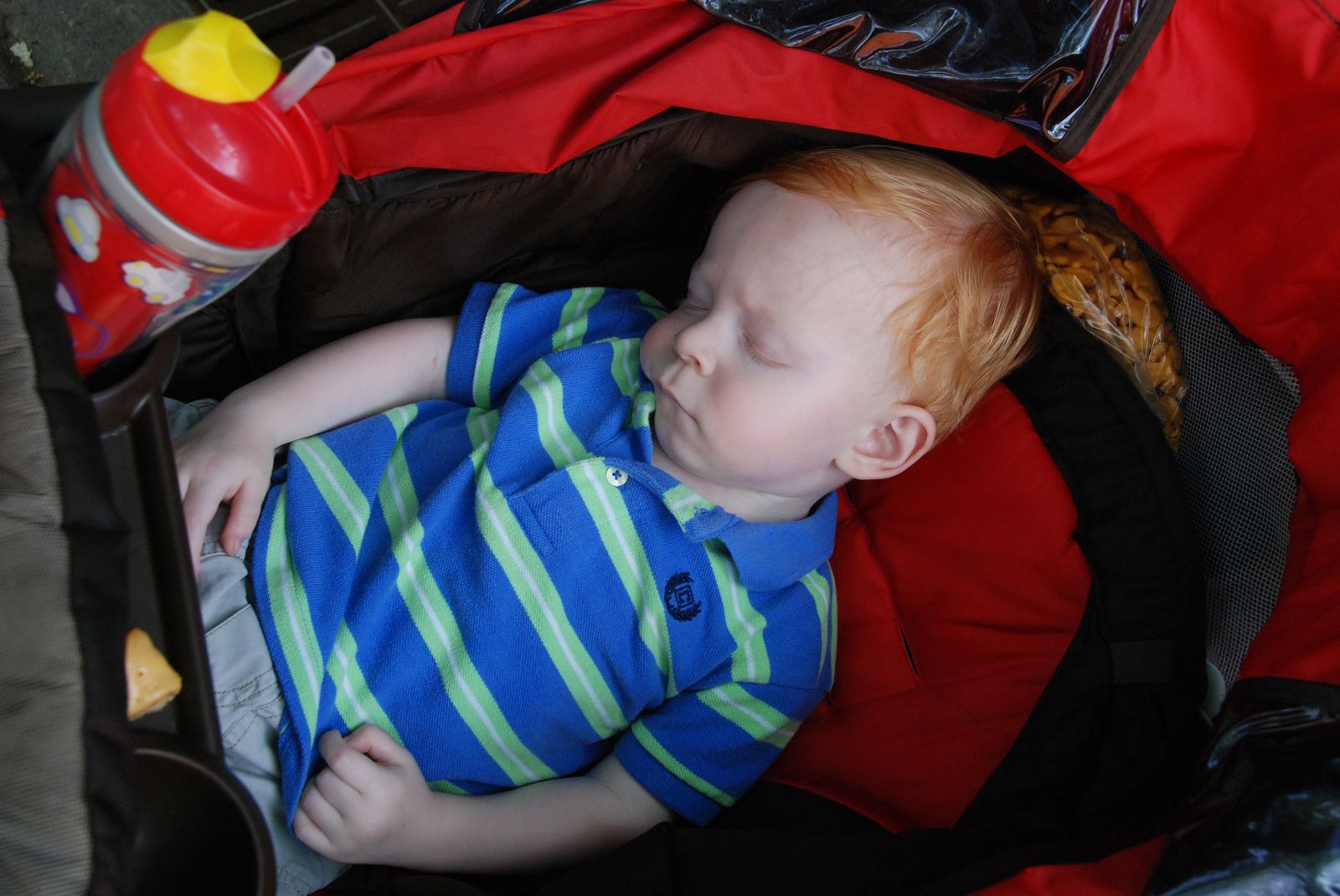 What's Up With the Cases? Dallas Zoo