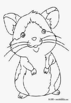 Hamster Coloring Pages To Print – Colorings.net