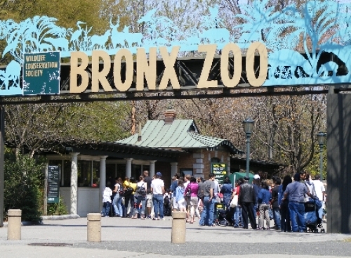 The Best Travelling: Bronx Zoo Wildlife Conservation Park at New York