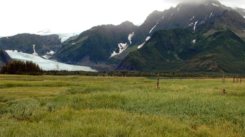 Las huellas del cambio climático en Alaska durante más de 100 años Pedersen+Glacier+(2005)+-+This+is+Alaska's+Muir+Glacier+&+Inlet+in+1895.+Get+Ready+to+Be+Shocked+When+You+See+What+it+Looks+Like+Now.