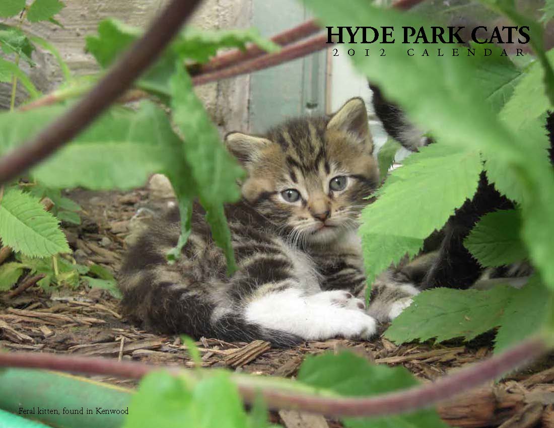Hyde Park Cats TNR calendars