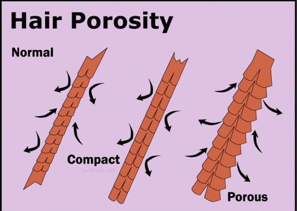 Natural Hair Porosity