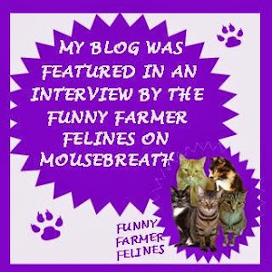Mousebreath Interview