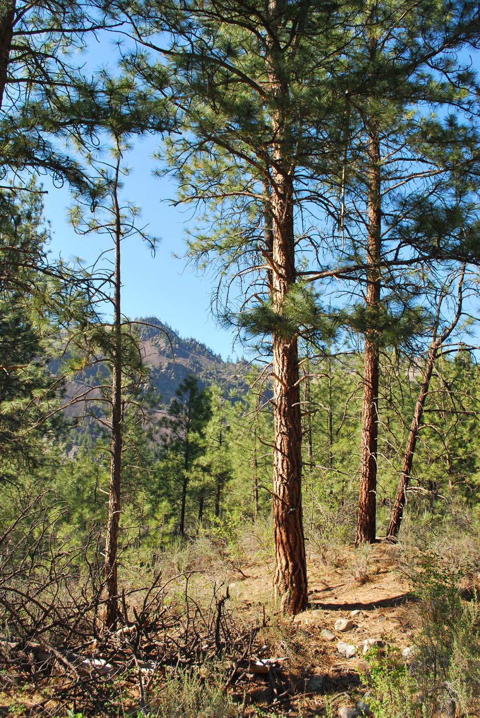 outside of the bubble Mission Mountains in Montana