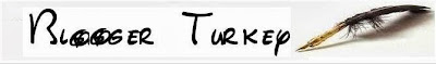 blogger turkey